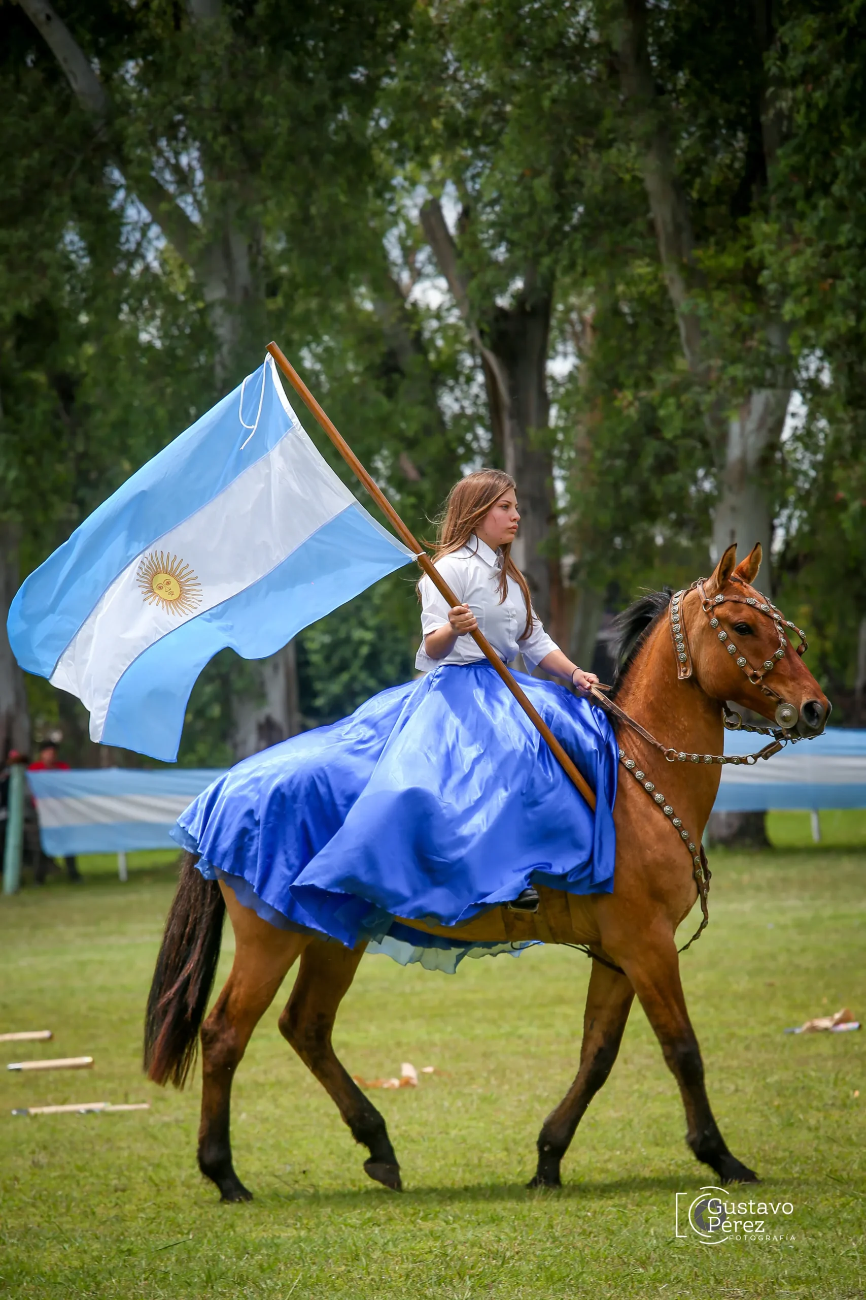 Amor a la patria - Colegio Santo Tomás Moro | La Plata
