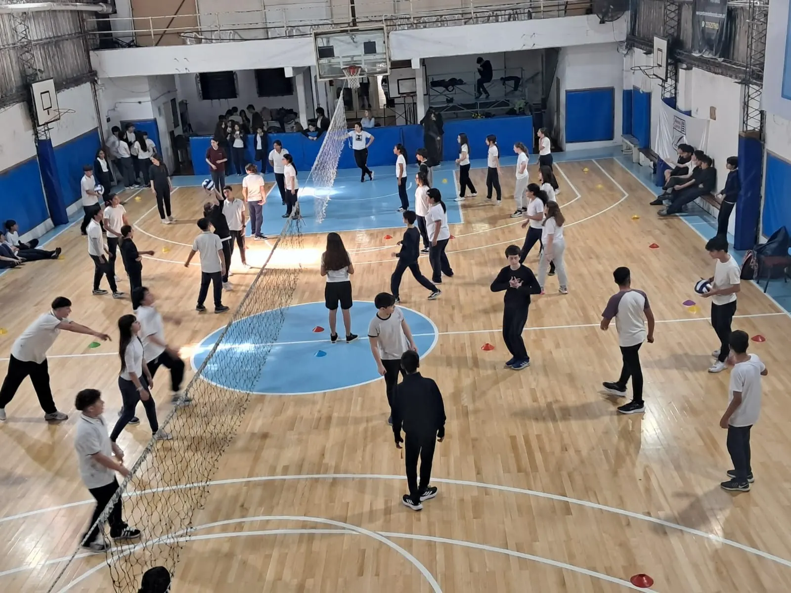 Deporte - Colegio Santo Tomás Moro | La Plata
